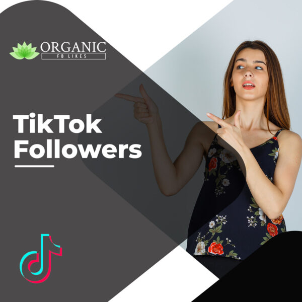 TikTok Followers